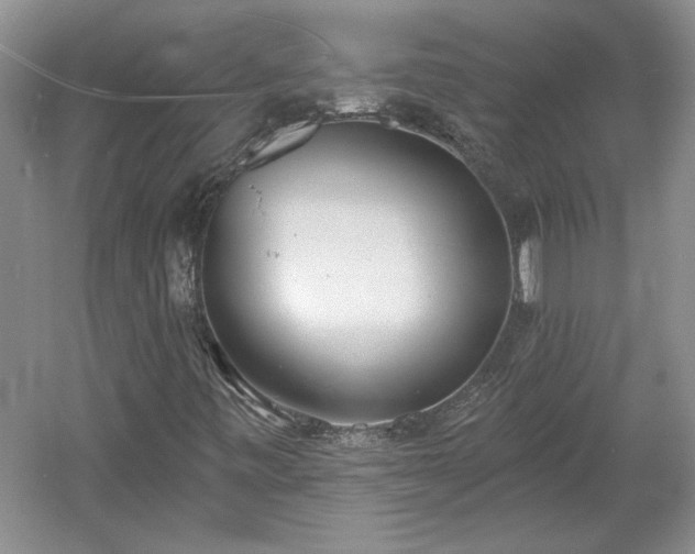 X0000061101443200511210854
