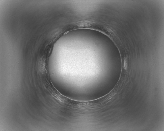 X0000061101444200511210854