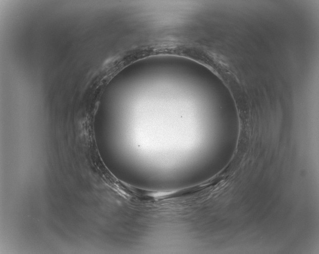 X0000061101445200511210854