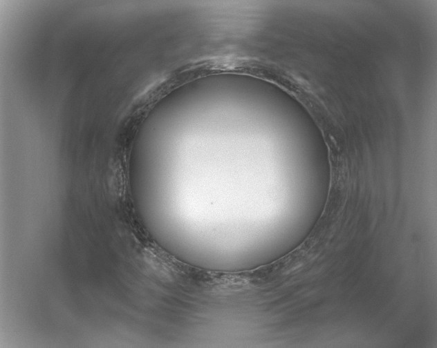 X0000061101446200511210854