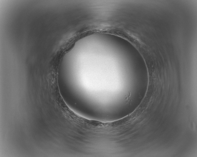X0000061101447200511210854