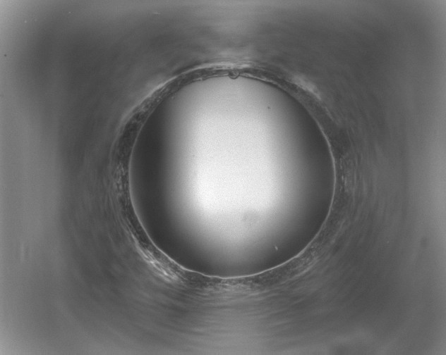 X0000061101448200511210854
