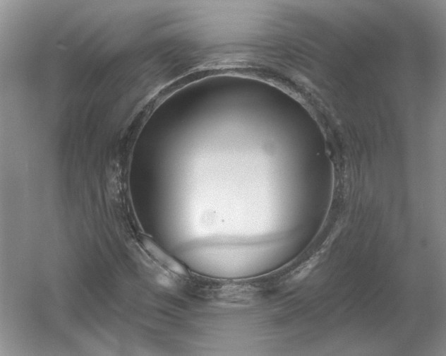 X0000061101449200511210854