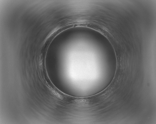 X0000061101450200511210854