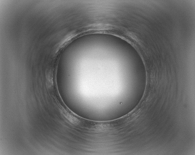 X0000061101451200511210854