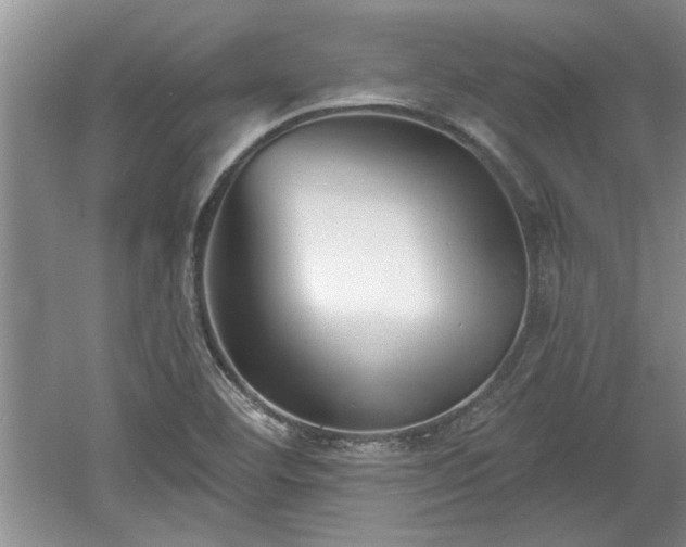 X0000061101460200511210854