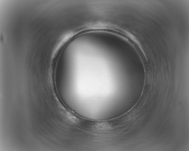 X0000061101464200511210854