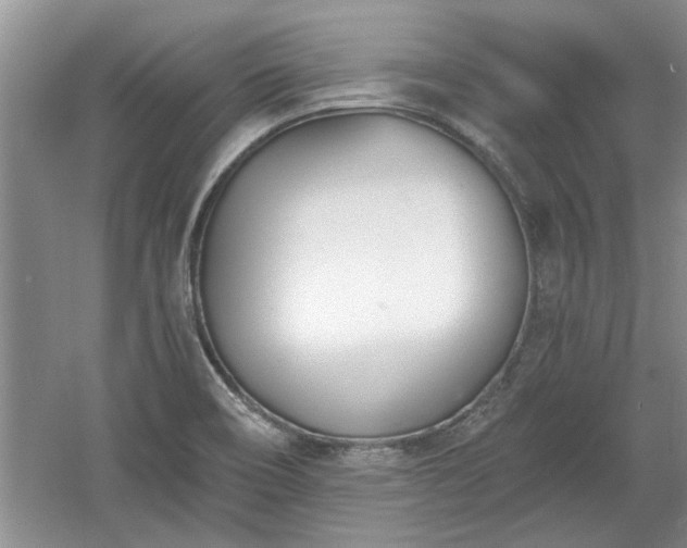 X0000061101466200511210854