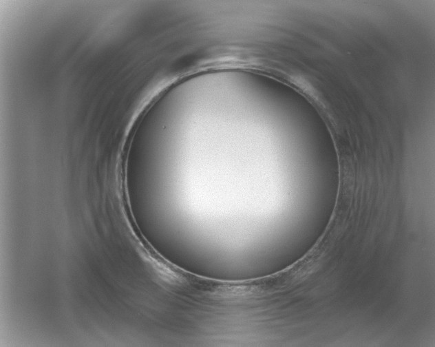 X0000061101474200511210854