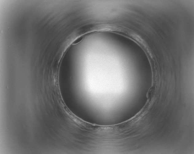 X0000061101481200511210854