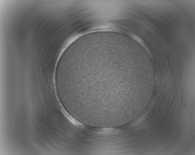 X0000061101482200511210854