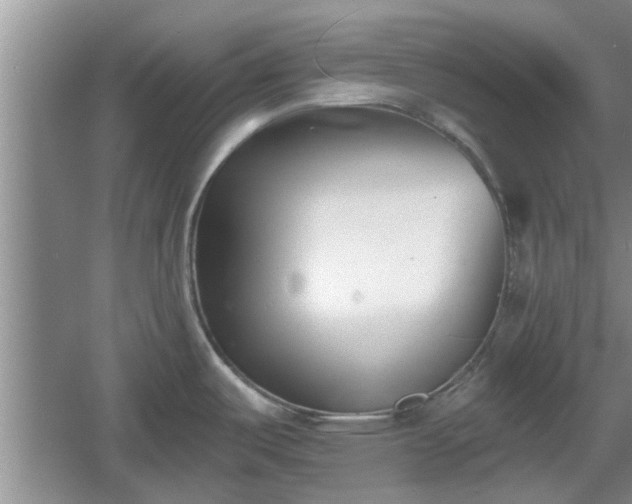 X0000061101487200511210854