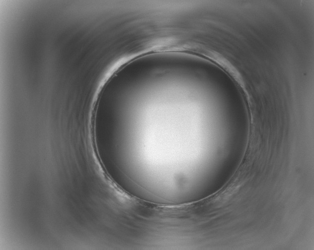 X0000061101488200511210854