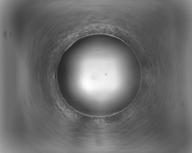 X0000061101489200511210853
