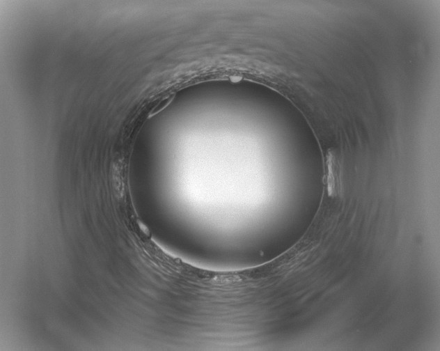 X0000061101491200511210853