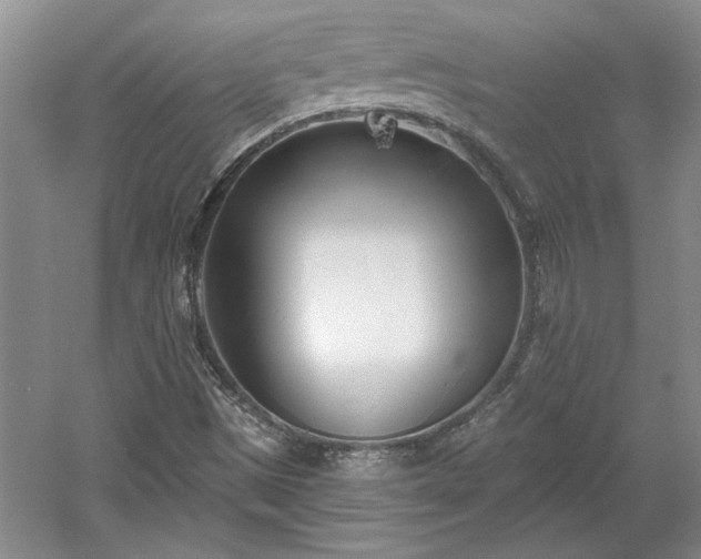 X0000061101497200511210853