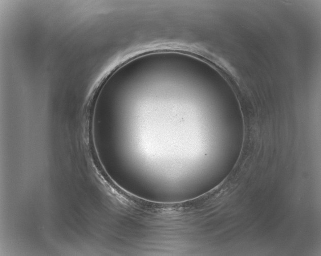 X0000061101504200511210853
