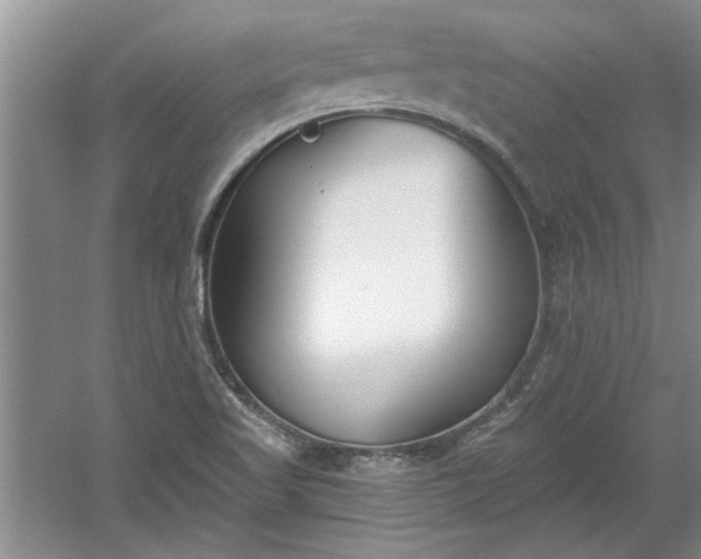 X0000061101509200511210853