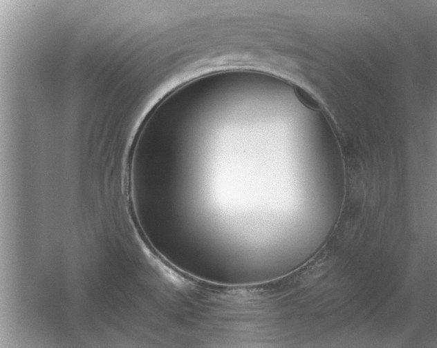 X0000061101527200511210853