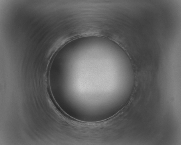 X0000061100002200511241629