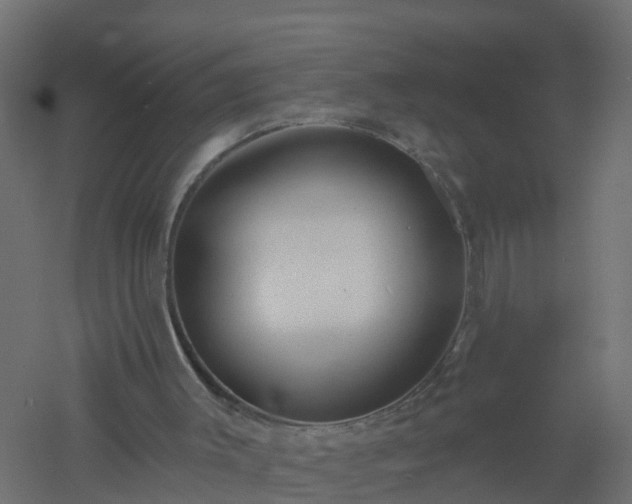 X0000061100003200511241629