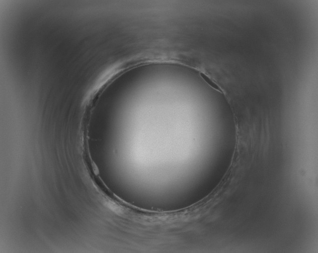 X0000061100005200511241628
