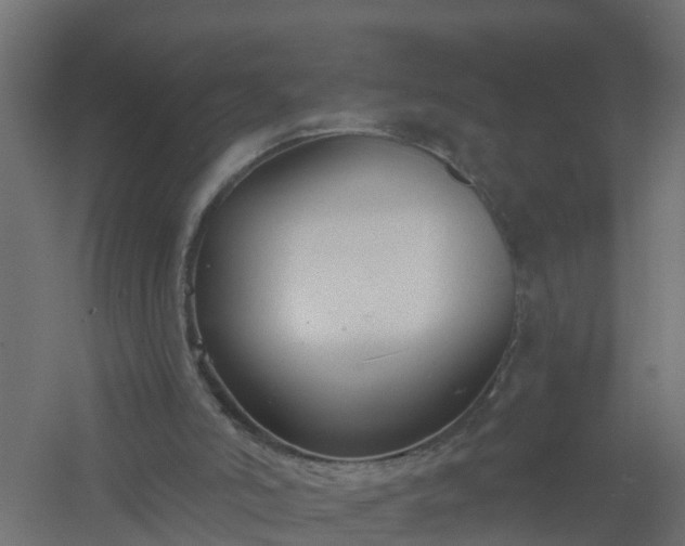 X0000061100006200511241628