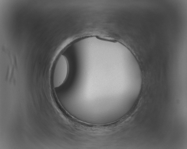 X0000061100008200511241628