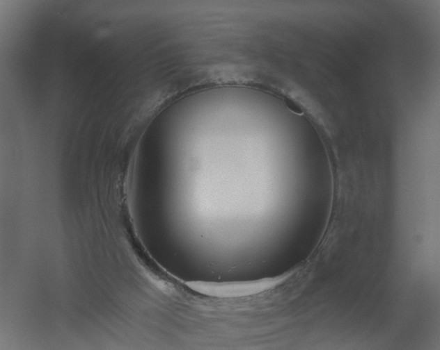 X0000061100009200511241628