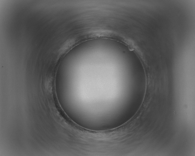 X0000061100010200511241628
