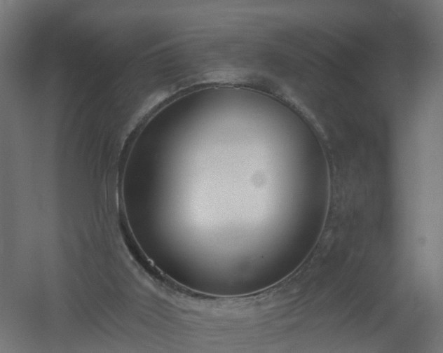 X0000061100011200511241628