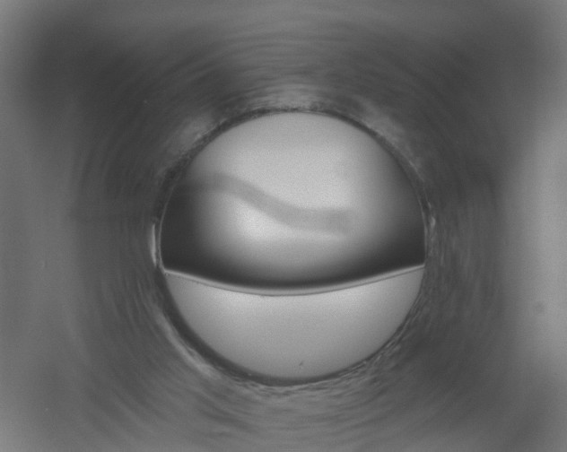X0000061100013200511241628