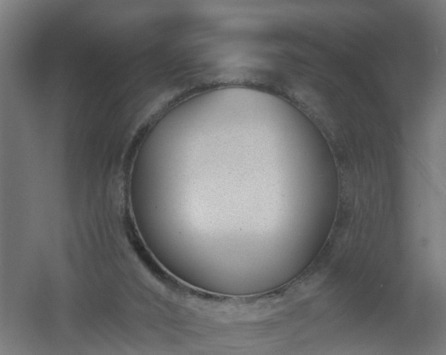 X0000061100016200511241628