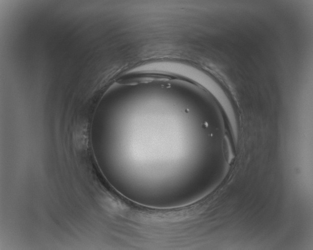 X0000061100017200511241628