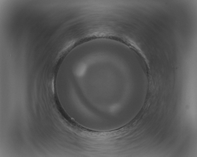 X0000061100019200511241628