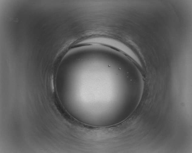 X0000061100020200511241628