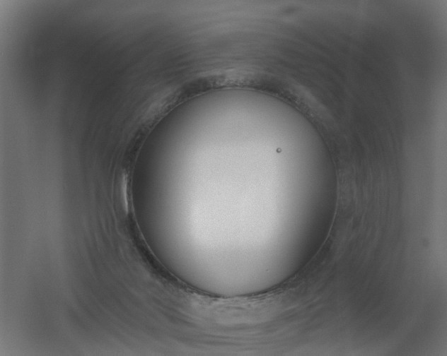 X0000061100022200511241628