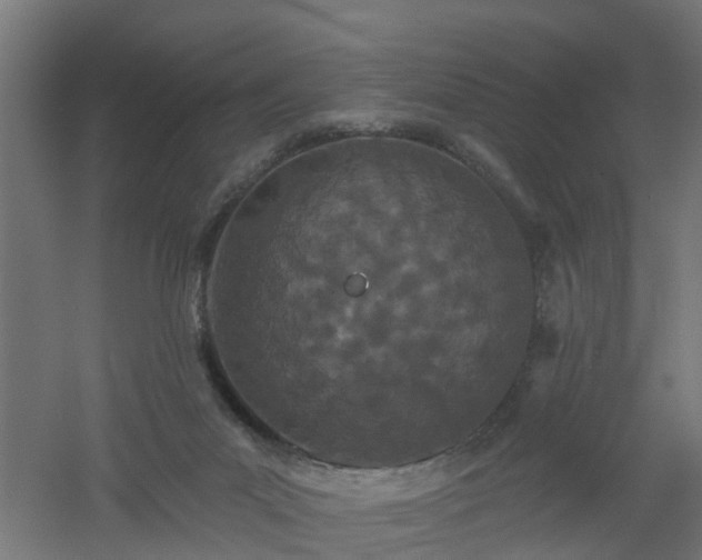 X0000061100023200511241628