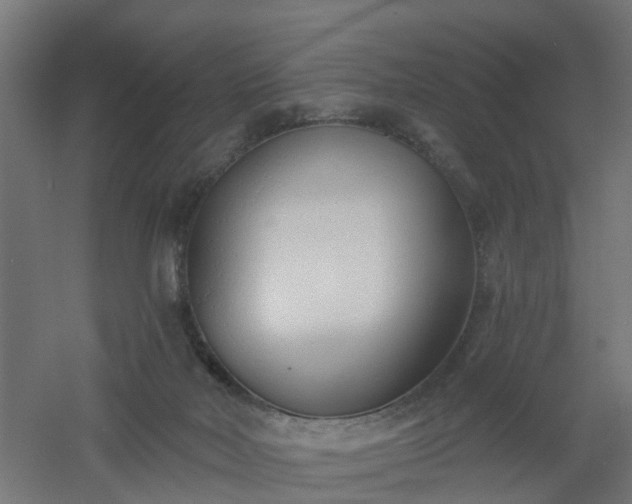 X0000061100026200511241628