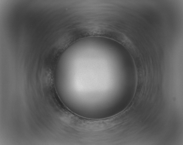 X0000061100029200511241628
