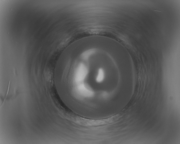 X0000061100031200511241628