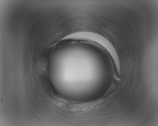 X0000061100033200511241628