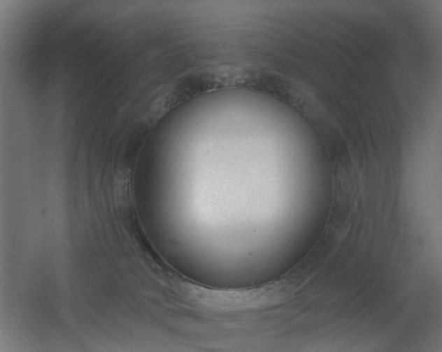 X0000061100034200511241628