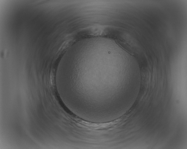 X0000061100035200511241628
