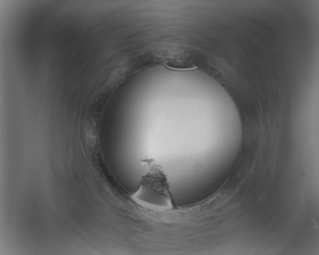 X0000061100040200511241628