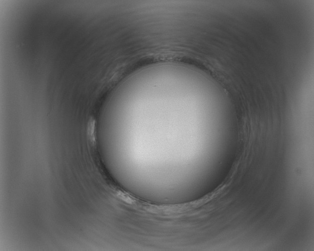 X0000061100041200511241628