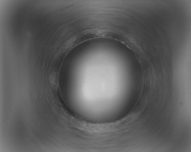 X0000061100044200511241628