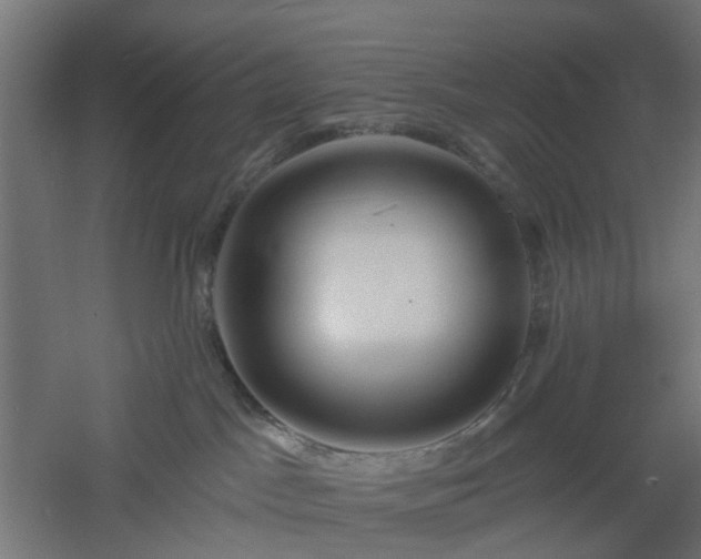 X0000061100045200511241628