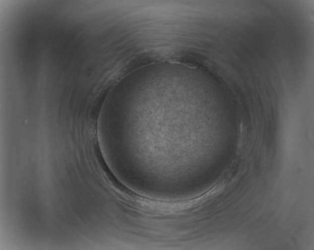 X0000061100048200511241628