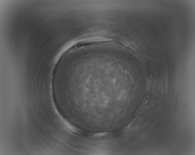 X0000061100054200511241627